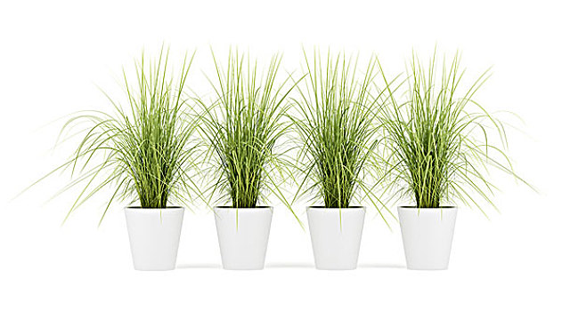 微软xp旗舰版官方下载_微软xp旗舰版下载地址